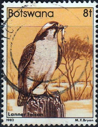 Botswana 1982 Birds Lanner falcon SG 522 Fine Used