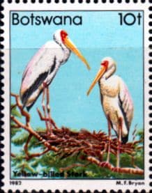 Botswana 1982 Birds Stork SG 523 Fine Mint