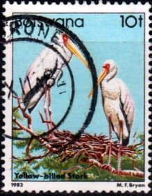 Botswana 1982 Birds Stork SG 523 Fine Used
