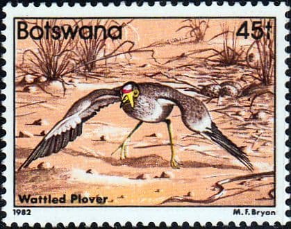 Botswana 1982 Senegal wattled plover SG 529 Fine Mint