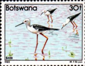 Botswana 1982 South African Stilt SG 527 Fine Mint
