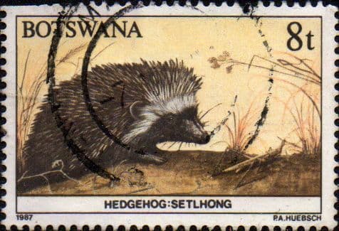 Botswana 1987 Animals SG 625 Fine Used