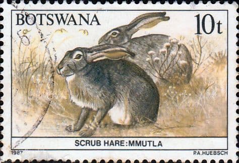 Botswana 1987 Animals SG 626 Fine Used