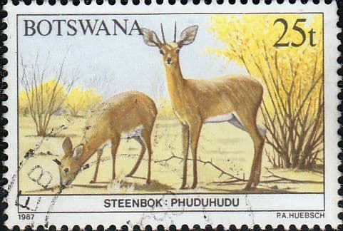 Botswana 1987 Animals SG 630 Fine Used