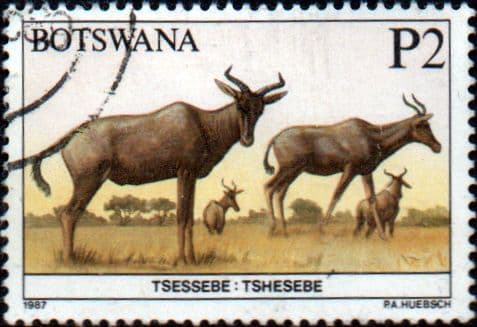 Botswana 1987 Animals SG 636 Fine Used