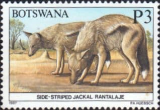 Botswana 1987 Animals SG 637 Fine Mint