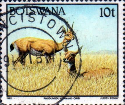 Botswana 1992 Animals SG 742 Fine Used
