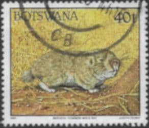 Botswana 1992 Animals SG 748 Fine Used