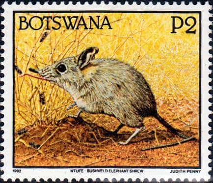 Botswana 1992 Animals SG 753 Fine Mint