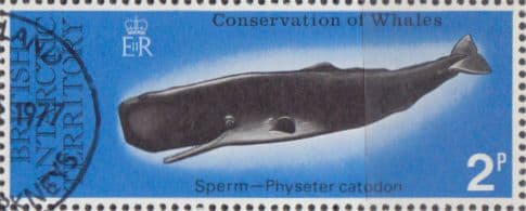 British Antarctic Terratory 1977 Whales Conservation SG 79 Fine Used