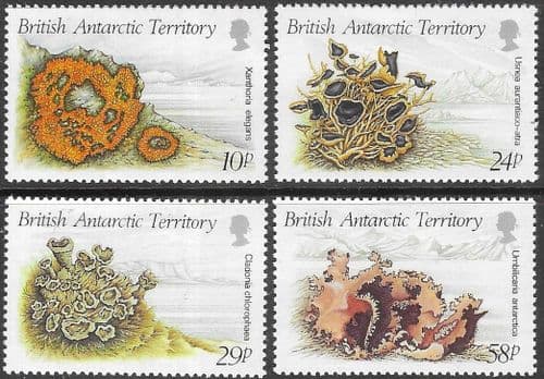 British Antarctic Territory 1989 Lichens Set Fine Mint