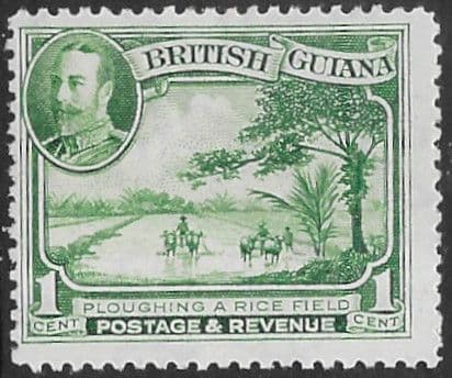 British Guiana 1934 King George V SG 288 Ploughing Rice Field Fine Mint