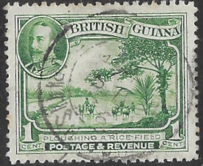 British Guiana 1934 King George V SG 288 Ploughing Rice Field Fine Used