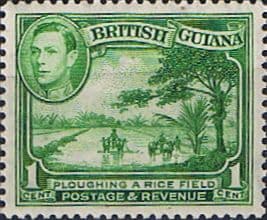 British Guiana 1938 King George VI SG 308a Ploughing Rice Field Fine Mint