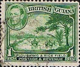 British Guiana 1938 King George VI SG 308a Ploughing Rice Field Fine Used