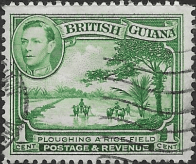 British Guiana 1938 King George VI SG 308aa Ploughing Rice Field Fine Used