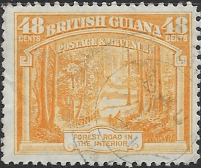 British Guiana 1938 King George VI SG 314 Forest Road Fine Used