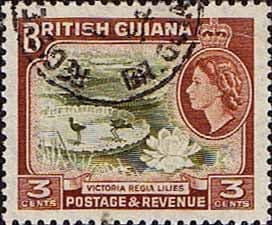 British Guiana 1954 Queen Elizabeth II SG 333 Victoria Regia Lillies Fine Used