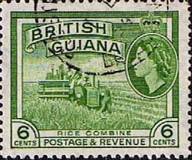 British Guiana 1954 Queen Elizabeth II SG 336 Rice Combine Fine Used