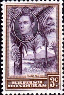 British Honduras 1938 SG 152 Cohune Palm Fine Mint