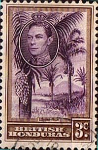 British Honduras 1938 SG 152 Cohune Palm Fine Used