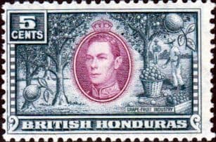 British Honduras 1938 SG 154 Fruit Grapefruit Fine Mint