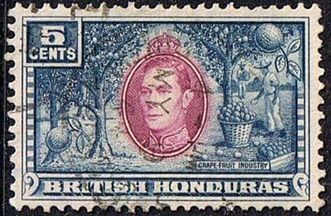 British Honduras 1938 SG 154 Fruit Grapefruit Fine Used