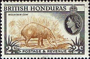 British Honduras 1953 SG 180 Animal Tapir Fine Mint