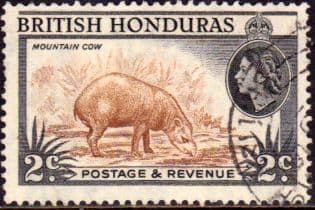 British Honduras 1953 SG 180 Animal Tapir Fine Used
