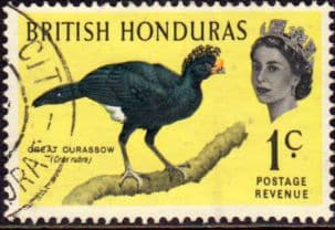 British Honduras 1962 Birds SG 202 Fine Used