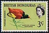 British Honduras 1962 Birds SG 204 Fine Mint