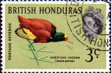 British Honduras 1962 Birds SG 204 Fine Used