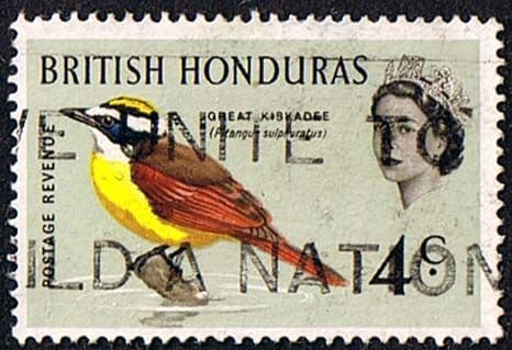 British Honduras 1962 Birds SG 205 Fine Used