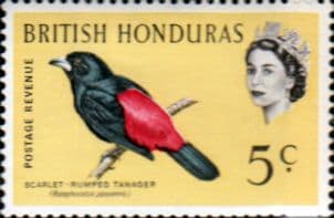 British Honduras 1962 Birds SG 206 Fine Mint