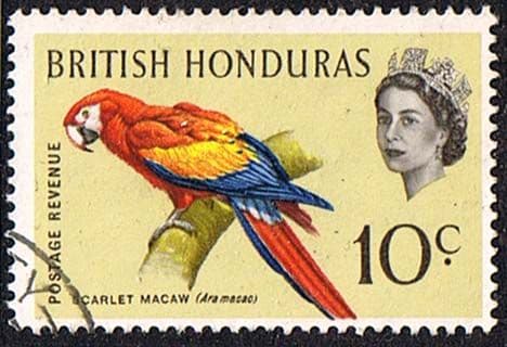 British Honduras 1962 Birds SG 207 Fine Used