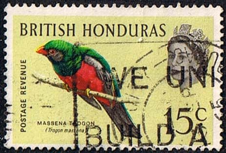 British Honduras 1962 Birds SG 208 Fine Used