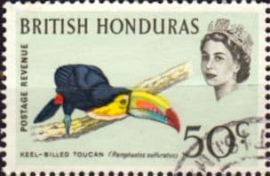 British Honduras 1962 Birds SG 210 Fine Used