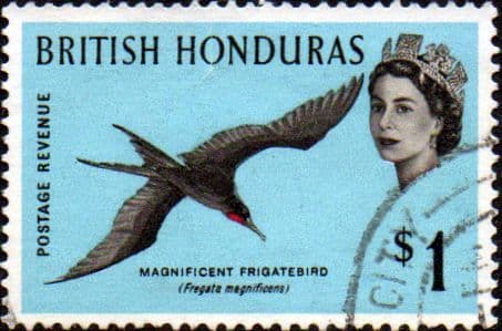 British Honduras 1962 Birds SG 211 Fine Used