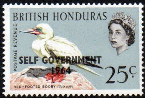 British Honduras 1964 Overprints SELF GOVERNMENT SG 221 Fine Mint