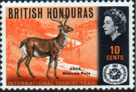 British Honduras 1967 International Tourist Year SG 247 Fine Mint