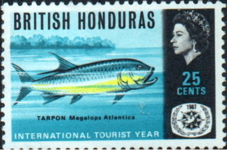 British Honduras 1967 International Tourist Year SG 249 Fine Mint