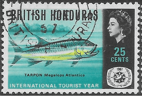 British Honduras 1967 International Tourist Year SG 249 Fine Used