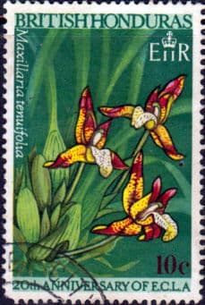 British Honduras 1968 Economic Commission SG 251 Fine Used