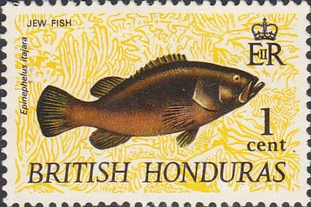 British Honduras 1968 Wildlife SG 256 Fine Mint