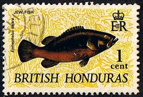 British Honduras 1968 Wildlife SG 256 Fine Used