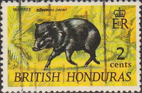 British Honduras 1968 Wildlife SG 257 Fine Used