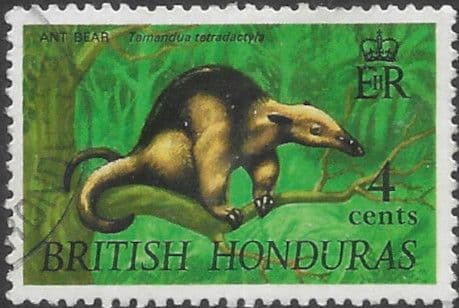 British Honduras 1968 Wildlife SG 259 Fine Used