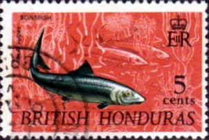 British Honduras 1968 Wildlife SG 260 Fine Used
