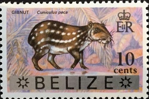 British Honduras 1968 Wildlife SG 261 Fine Mint