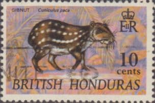 British Honduras 1968 Wildlife SG 261 Fine Used